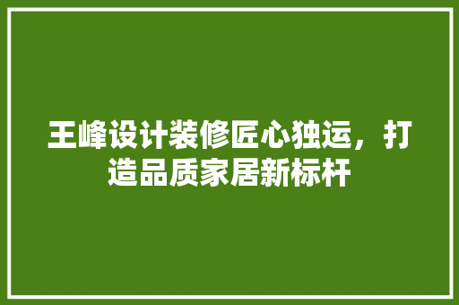 王峰设计装修匠心独运，打造品质家居新标杆