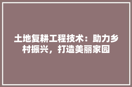 土地复耕工程技术：助力乡村振兴，打造美丽家园