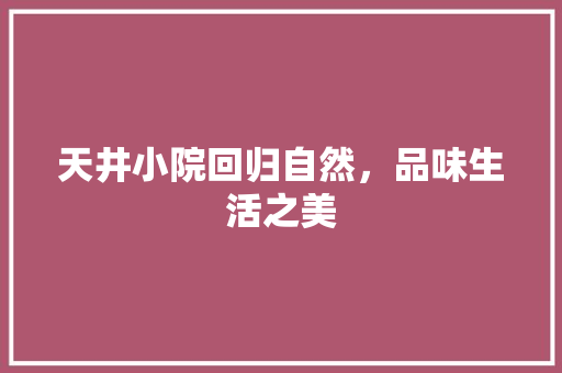 天井小院回归自然，品味生活之美