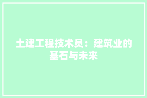 土建工程技术员：建筑业的基石与未来 现代风格装饰