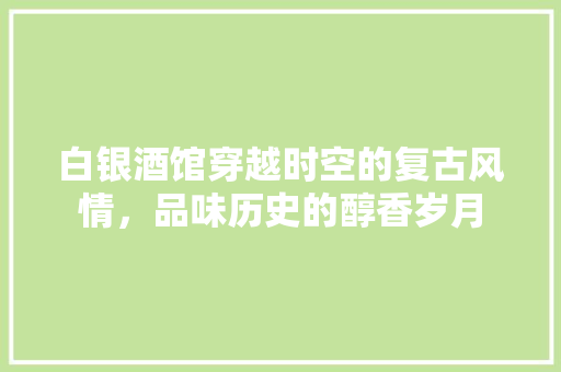 白银酒馆穿越时空的复古风情，品味历史的醇香岁月