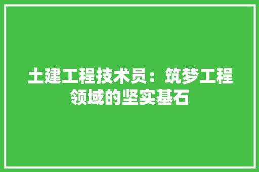 土建工程技术员：筑梦工程领域的坚实基石 现代风格装饰