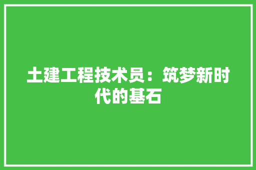 土建工程技术员：筑梦新时代的基石 现代风格装饰