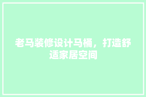 老马装修设计马桶，打造舒适家居空间