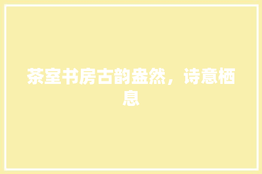 茶室书房古韵盎然，诗意栖息