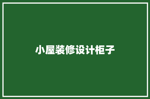 小屋装修设计柜子