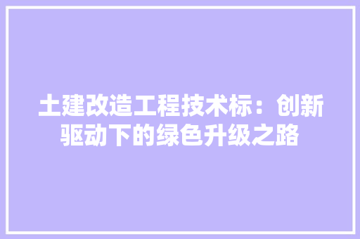 土建改造工程技术标：创新驱动下的绿色升级之路 现代风格装饰