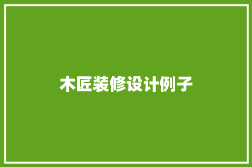 木匠装修设计例子