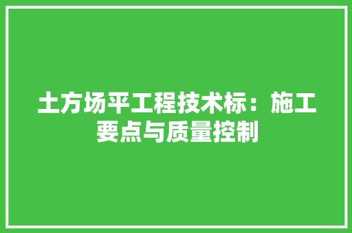 土方场平工程技术标：施工要点与质量控制 现代风格装饰