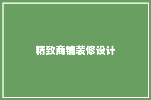 精致商铺装修设计