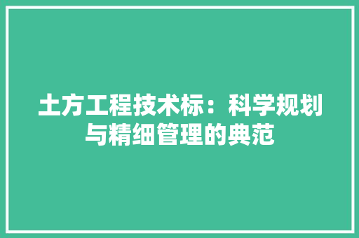 土方工程技术标：科学规划与精细管理的典范 现代风格装饰