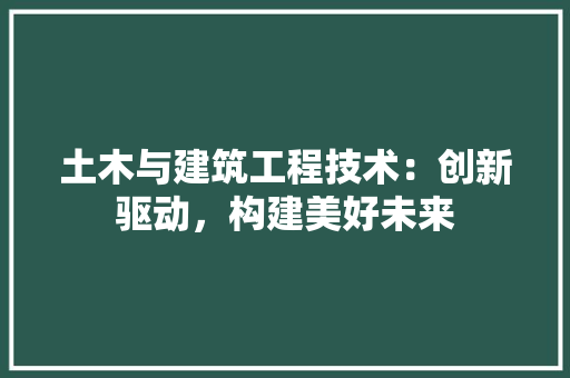 土木与建筑工程技术：创新驱动，构建美好未来 现代风格装饰