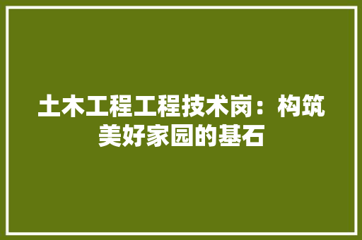 土木工程工程技术岗：构筑美好家园的基石 现代风格装饰