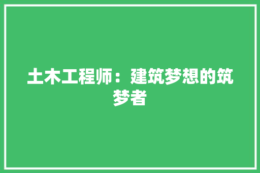 土木工程师：建筑梦想的筑梦者 现代风格装饰