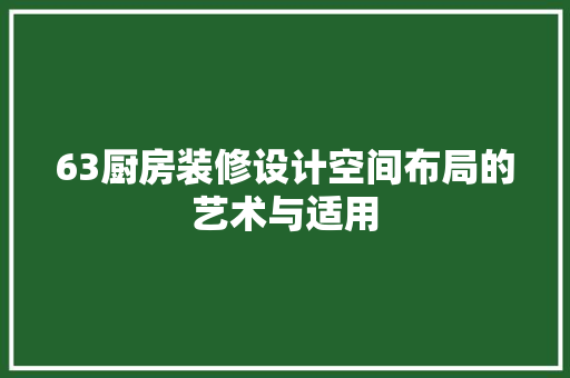 63厨房装修设计空间布局的艺术与适用