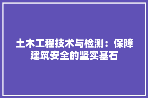 土木工程技术与检测：保障建筑安全的坚实基石