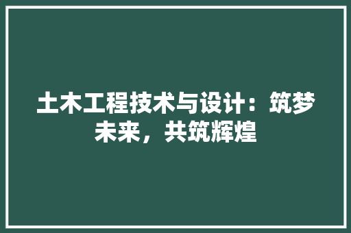 土木工程技术与设计：筑梦未来，共筑辉煌 现代风格装饰