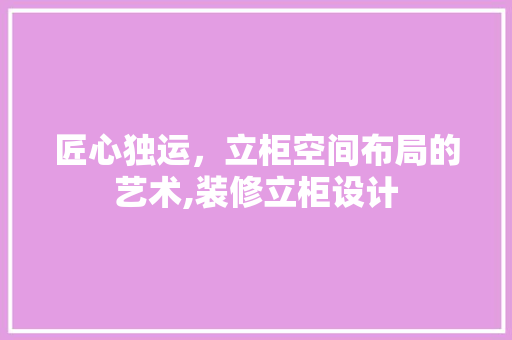 匠心独运，立柜空间布局的艺术,装修立柜设计