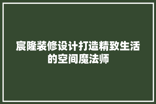 宸隆装修设计打造精致生活的空间魔法师