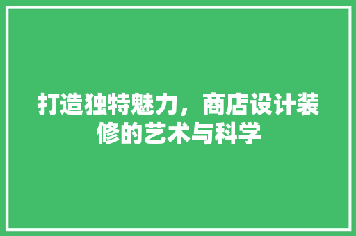 打造独特魅力，商店设计装修的艺术与科学