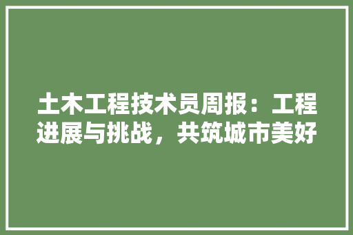 土木工程技术员周报：工程进展与挑战，共筑城市美好未来