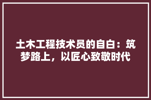 土木工程技术员的自白：筑梦路上，以匠心致敬时代 现代风格装饰