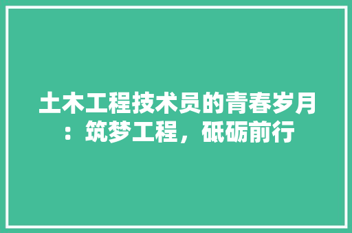 土木工程技术员的青春岁月：筑梦工程，砥砺前行 现代风格装饰