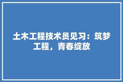 土木工程技术员见习：筑梦工程，青春绽放 现代风格装饰