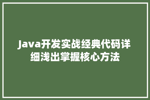 Java开发实战经典代码详细浅出掌握核心方法