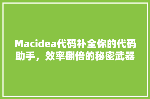 Macidea代码补全你的代码助手，效率翻倍的秘密武器