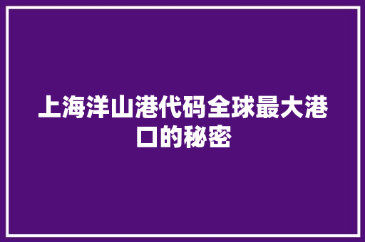 上海洋山港代码全球最大港口的秘密