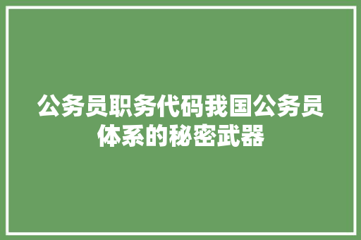公务员职务代码我国公务员体系的秘密武器