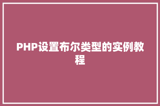 PHP设置布尔类型的实例教程
