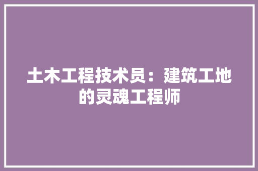 土木工程技术员：建筑工地的灵魂工程师 现代风格装饰