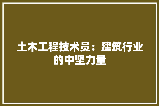 土木工程技术员：建筑行业的中坚力量 现代风格装饰