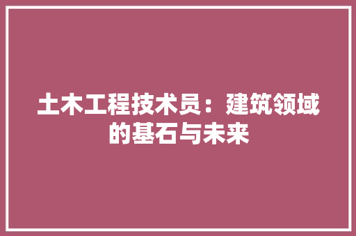 土木工程技术员：建筑领域的基石与未来 现代风格装饰