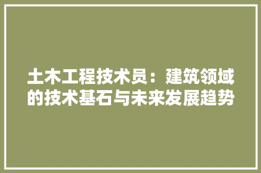 土木工程技术员：建筑领域的技术基石与未来发展趋势 现代风格装饰