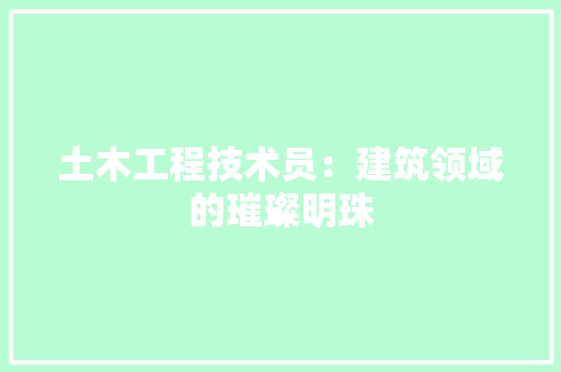 土木工程技术员：建筑领域的璀璨明珠 现代风格装饰