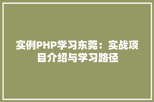 实例PHP学习东莞：实战项目介绍与学习路径