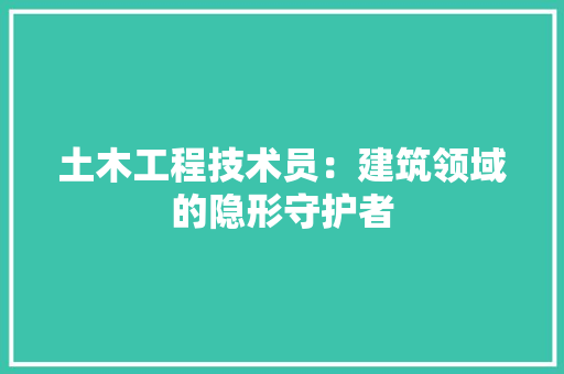 土木工程技术员：建筑领域的隐形守护者 现代风格装饰
