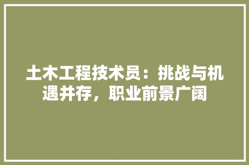 土木工程技术员：挑战与机遇并存，职业前景广阔 现代风格装饰