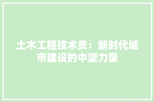 土木工程技术员：新时代城市建设的中坚力量 现代风格装饰
