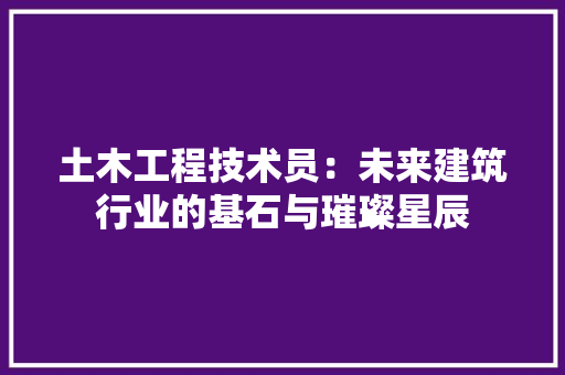 土木工程技术员：未来建筑行业的基石与璀璨星辰 现代风格装饰