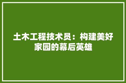 土木工程技术员：构建美好家园的幕后英雄 现代风格装饰
