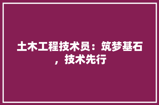 土木工程技术员：筑梦基石，技术先行