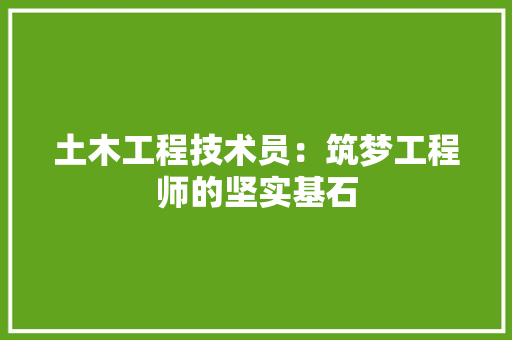 土木工程技术员：筑梦工程师的坚实基石 现代风格装饰