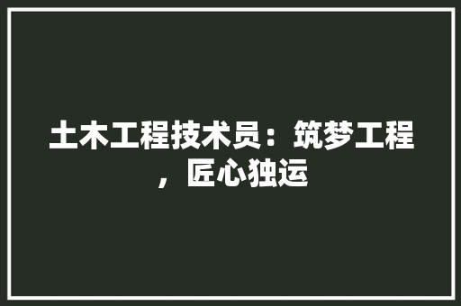 土木工程技术员：筑梦工程，匠心独运 现代风格装饰
