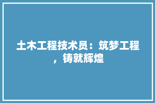 土木工程技术员：筑梦工程，铸就辉煌