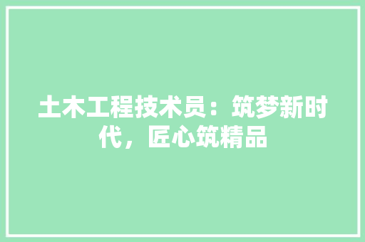 土木工程技术员：筑梦新时代，匠心筑精品 现代风格装饰