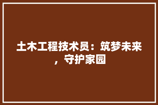 土木工程技术员：筑梦未来，守护家园 现代风格装饰